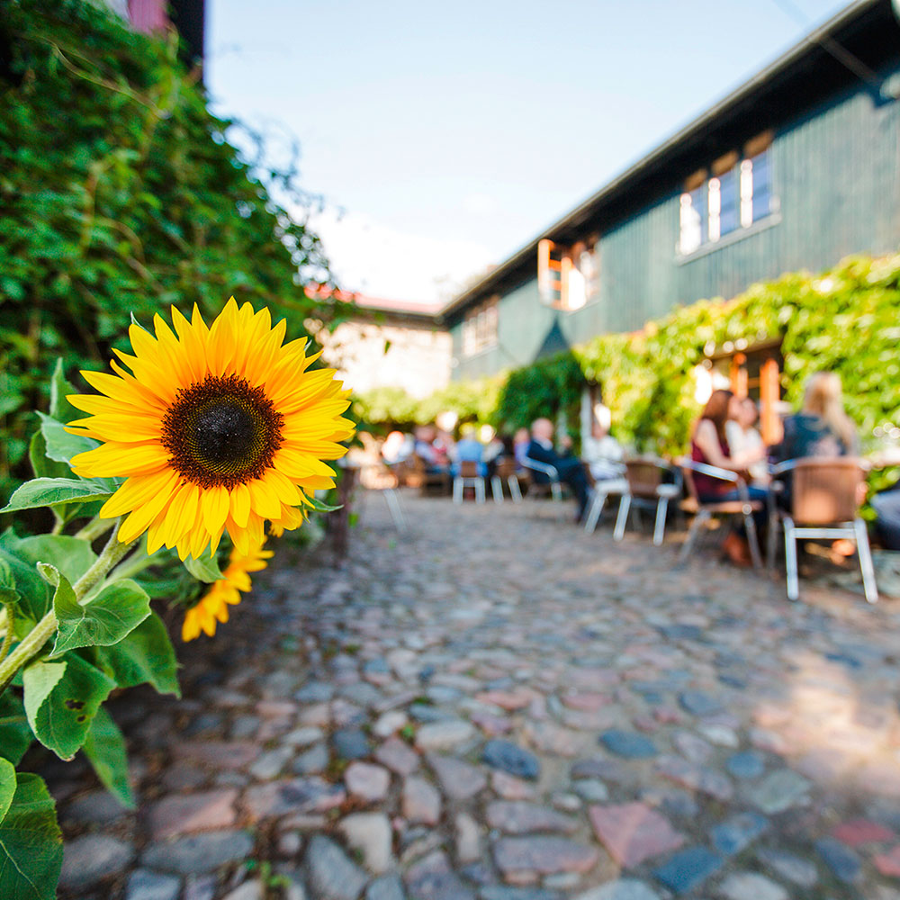 Weinstall Jensen - Veranstaltungen